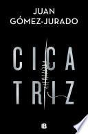 Descargar el libro libro Cicatriz libro Cicatriz