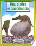 Descargar el libro libro Una Piedra Extraordinaria libro Una Piedra Extraordinaria