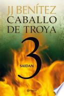 Descargar el libro libro Saidan (caballo De Troya 3) libro Saidan (caballo De Troya 3)