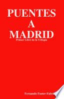 libro Puentes A Madrid