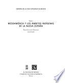 libro Mesoamérica Y Los ámbitos Indígenas De La Nueva España