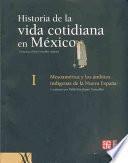 Descargar el libro libro Mesoamérica Y Los ámbitos Indígenas De La Nueva España libro Mesoamérica Y Los ámbitos Indígenas De La Nueva España