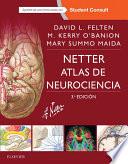 libro Netter. Atlas De Neurociencia + Studentconsult