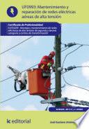 libro Mantenimiento De Redes Eléctricas Aéreas De Alta Tensión. Elee0209