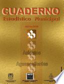 libro Asientos Aguascalientes. Cuaderno Estadístico Municipal 2001