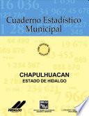 libro Chapulhuacán Estado De Hidalgo. Cuaderno Estadístico Municipal 1996