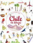 libro Chile En Dibujos