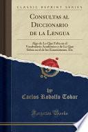 libro Consultas Al Diccionario De La Lengua