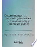 libro Determinates De Las Acciones Gerenciales En Microempresas Y Empresas Pymes