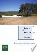 libro Flora De Burguillos (sevilla): Bases Para Su Conservación