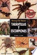 libro Manuales Del Terrario. Tarántulas Y Escorpiones