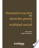 libro Normativización Del Derecho Penal Y Realidad Social