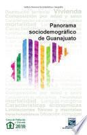 libro Panorama Sociodemográfico De Guanajuato