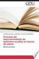 libro Proceso De Descubrimiento De Patrones Ocultos En Bases De Datos
