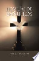 libro Homilias De Banuelos