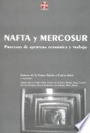 libro Nafta Y Mercosur